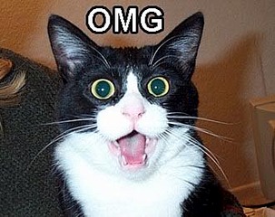 click for enlarge 330 X 261 18.4 Kb picture
