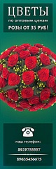 click for enlarge 200 X 600  46.8 Kb picture