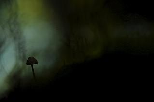 click for enlarge 1000 X 664 227.3 Kb picture