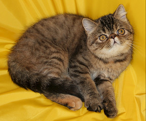 click for enlarge 961 X 800 204.6 Kb picture
