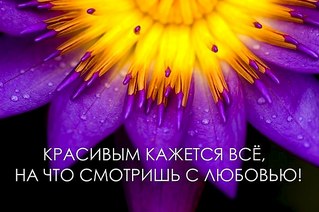click for enlarge 604 X 402 51.1 Kb picture