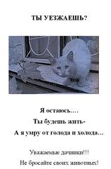 click for enlarge 626 X 953  54.9 Kb picture