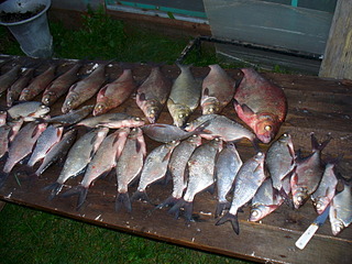 click for enlarge 1920 X 1440 913.8 Kb picture