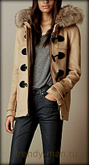 click for enlarge 261 X 486 33.2 Kb picture