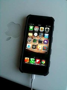 click for enlarge 360 X 480  14.0 Kb picture