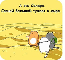 click for enlarge 604 X 561 56.8 Kb picture