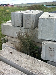 click for enlarge 1920 X 2570 774.8 Kb picture