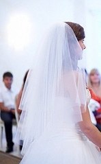 click for enlarge 249 X 402 14.8 Kb picture