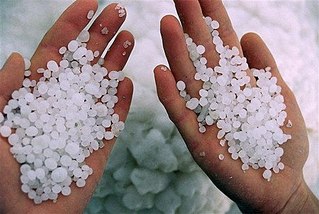 click for enlarge 450 X 302 38.9 Kb picture