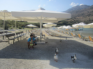 click for enlarge 800 X 600 164.2 Kb picture