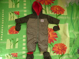 click for enlarge 1920 X 1440 599.9 Kb picture