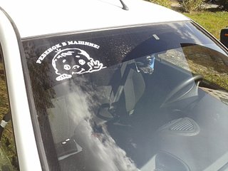 click for enlarge 1920 X 1440 315.4 Kb picture