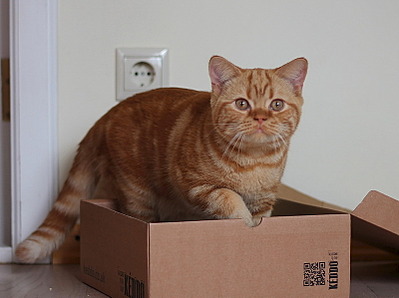 click for enlarge 800 X 597 129.2 Kb picture