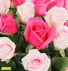 click for enlarge 800 X 841 566.1 Kb picture