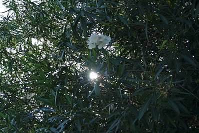 click for enlarge 1920 X 1285 769.1 Kb picture