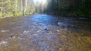 click for enlarge 1920 X 1080 490.5 Kb picture