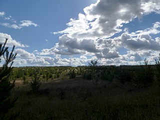 click for enlarge 1920 X 1440 232.3 Kb picture