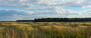 click for enlarge 1600 X 662 256.8 Kb picture