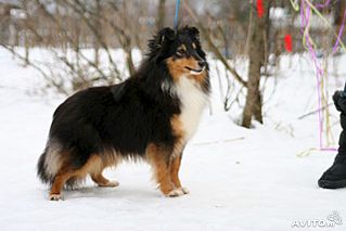 click for enlarge 640 X 427 31.6 Kb picture