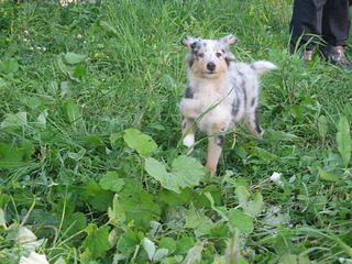 click for enlarge 1920 X 1440 801.0 Kb picture