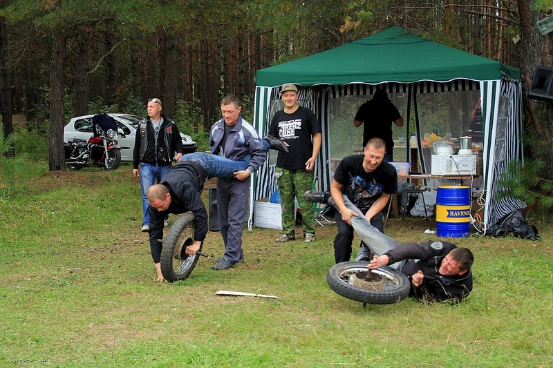 click for enlarge 1280 X 853 321.9 Kb picture