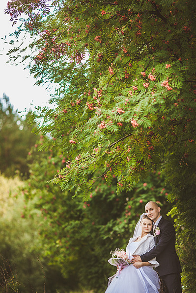 click for enlarge 1173 X 1760 427.1 Kb picture