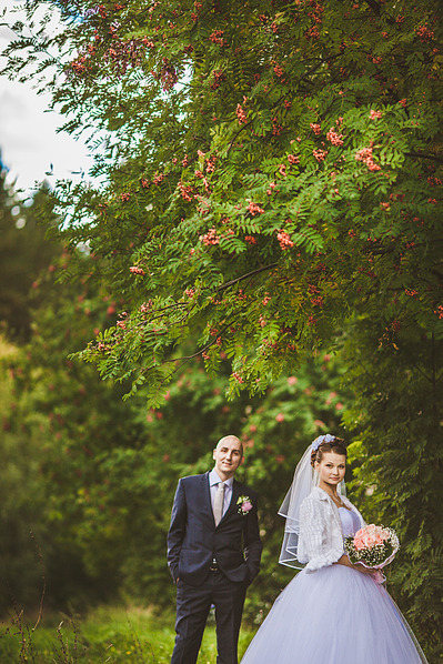 click for enlarge 1173 X 1760 421.4 Kb picture