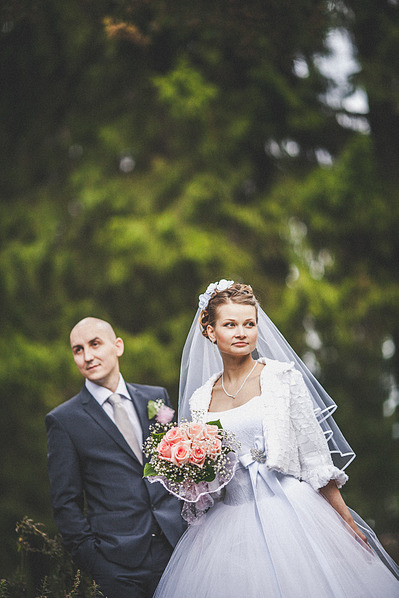 click for enlarge 1173 X 1760 896.8 Kb picture