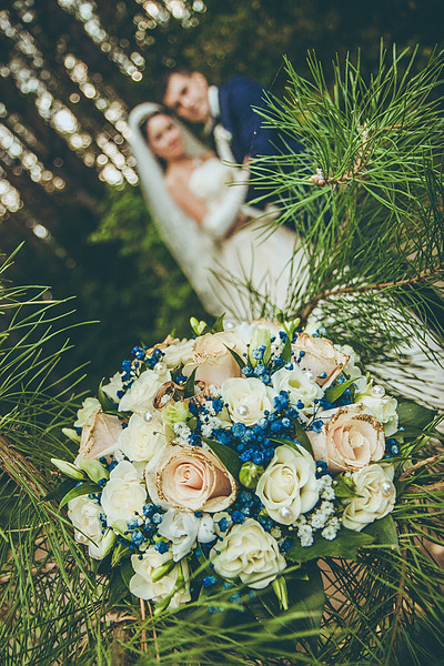 click for enlarge 1173 X 1759 422.3 Kb picture