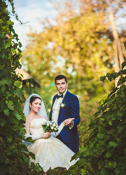 click for enlarge 1270 X 1760 314.0 Kb picture