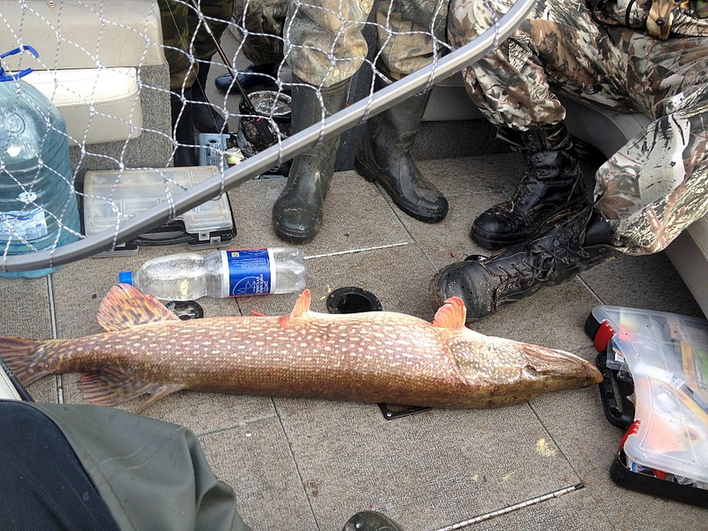 click for enlarge 1920 X 1440 1000.5 Kb picture