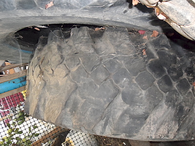 click for enlarge 1920 X 1440 235.8 Kb picture