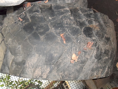 click for enlarge 1920 X 1440 216.2 Kb picture