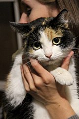 click for enlarge 683 X 1024 120.8 Kb picture