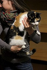 click for enlarge 683 X 1024 128.8 Kb picture