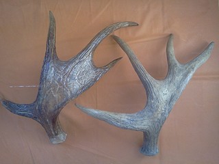 click for enlarge 1920 X 1440 467.0 Kb picture