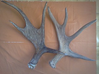 click for enlarge 1920 X 1440 473.0 Kb picture