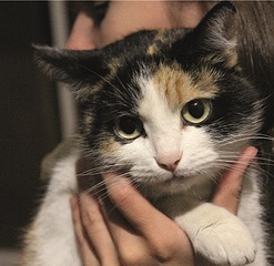 click for enlarge 838 X 813 920.9 Kb picture