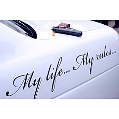 click for enlarge 250 X 250  29.0 Kb picture