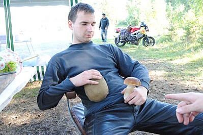 click for enlarge 800 X 535  73.8 Kb picture