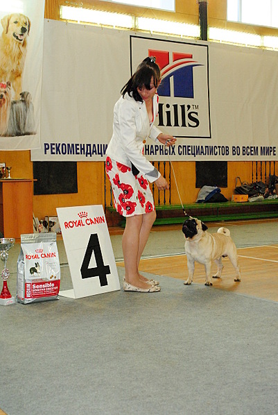 click for enlarge 857 X 1280 318.0 Kb picture