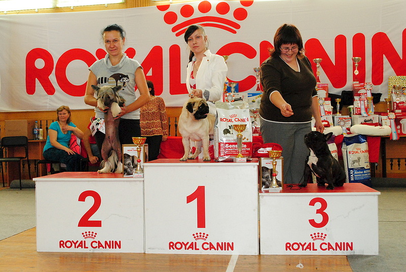 click for enlarge 1280 X 857 361.8 Kb picture