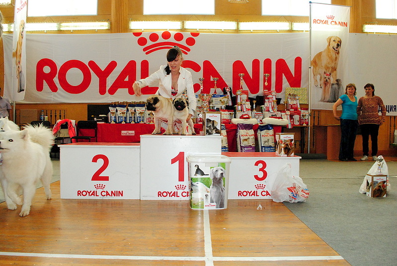 click for enlarge 1280 X 857 365.5 Kb picture