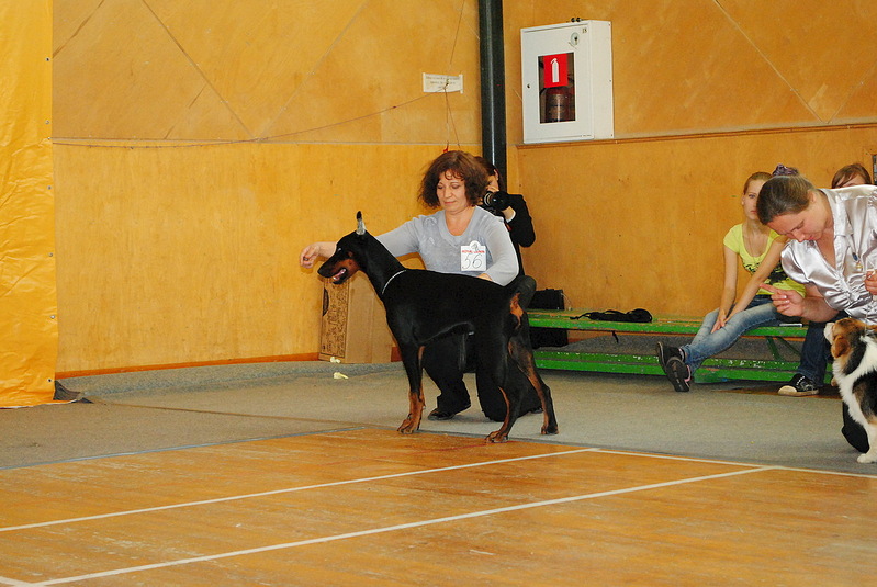 click for enlarge 1280 X 857 297.7 Kb picture