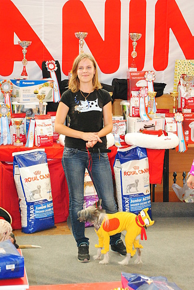 click for enlarge 857 X 1280 404.8 Kb picture