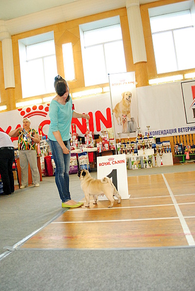 click for enlarge 857 X 1280 307.5 Kb picture