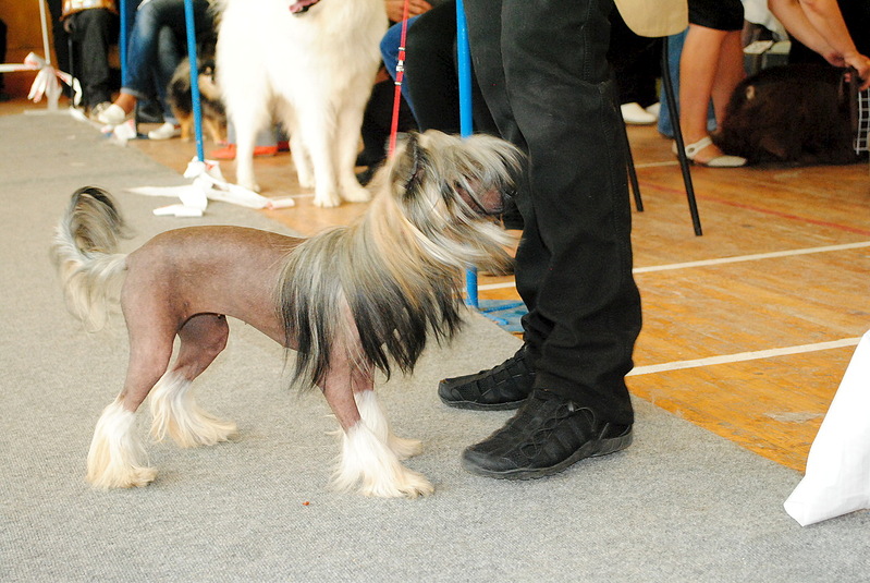 click for enlarge 1280 X 857 334.4 Kb picture