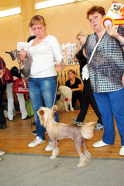 click for enlarge 857 X 1280 412.6 Kb picture