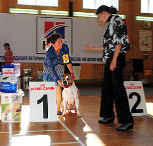 click for enlarge 800 X 762 206.3 Kb picture