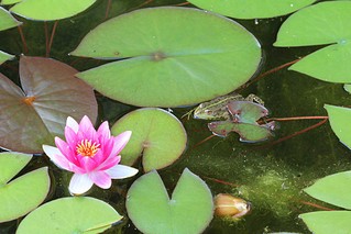 click for enlarge 1024 X 683 170.6 Kb picture